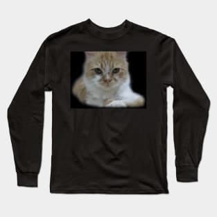 Cute Cat Face Photography Long Sleeve T-Shirt